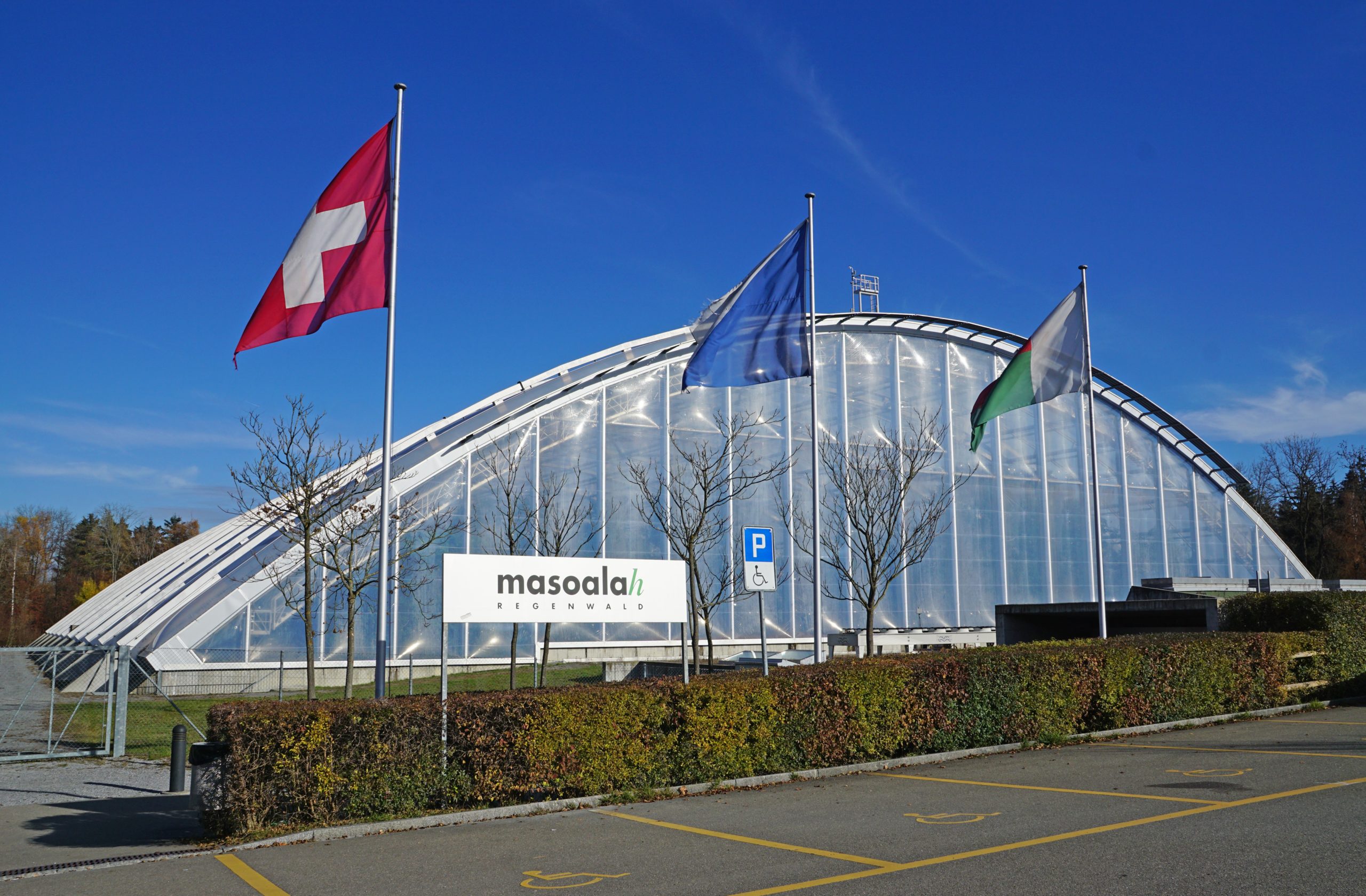zürich zoo