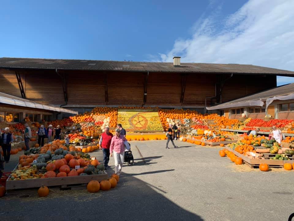 Kürbisse