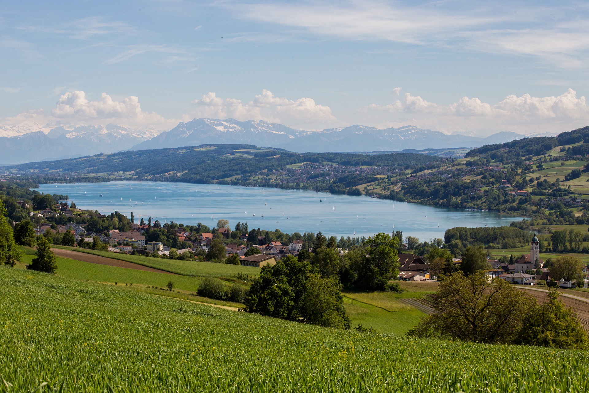 hallwilersee