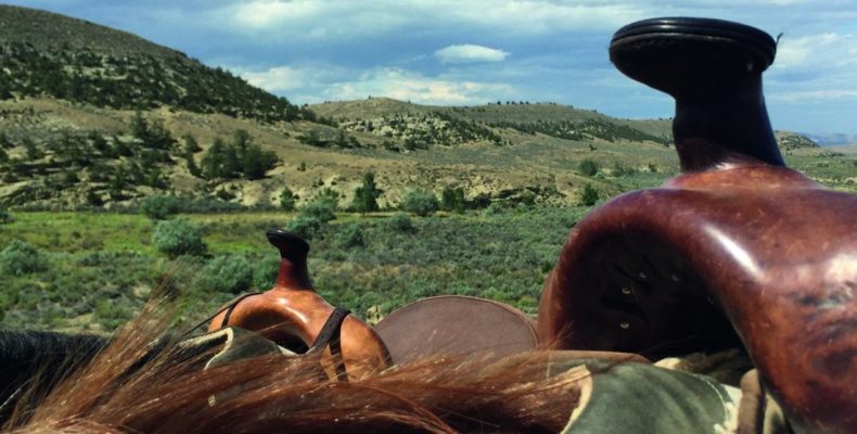 Ranchferien auf der Lonesome Spur Working Ranch in Montana